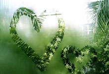 Kaiyun-包含明尼苏达森林狼发布备战花絮，今晨完成体检，中超任务艰巨，资深球员宣示担当的词条